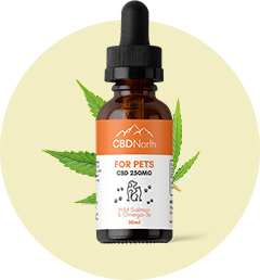 Digestive Care